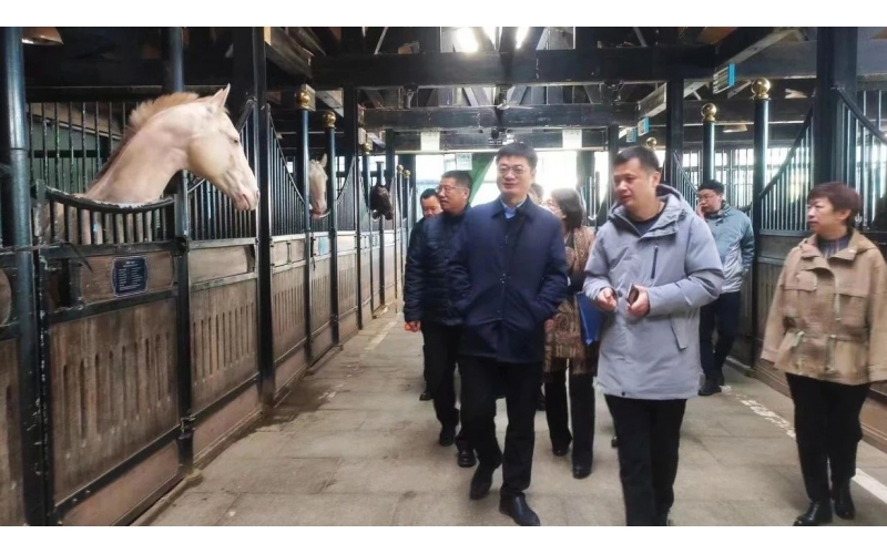高雷副廳長在野馬集團調(diào)研時表示，要通過科技助力，精準解決“卡脖子”問題